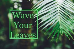 Wave Your Leaves